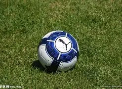 星力捕鱼游,戏平台,产品,星力捕鱼平台,星力十代捕鱼游戏,正版星力捕鱼,星力捕鱼app